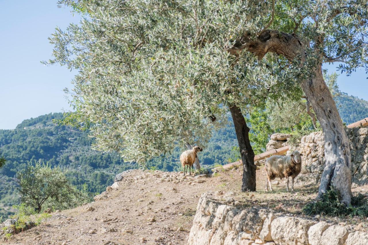Raco De Soller Sóller Exterior foto